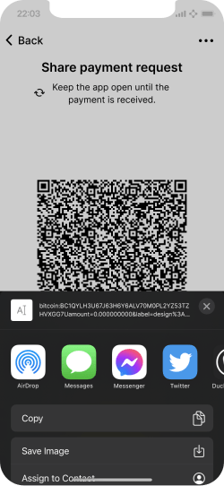 Screen showing a payment request being shared in plaintext.